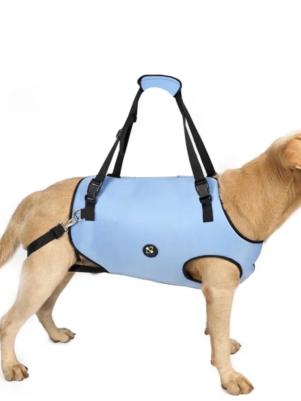 Coodeo Pet Lift Sling Carrier for Dogs - Blue